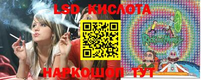 spice Свободный