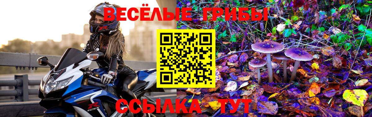 Псилоцибиновые грибы MAGIC MUSHROOMS Реж